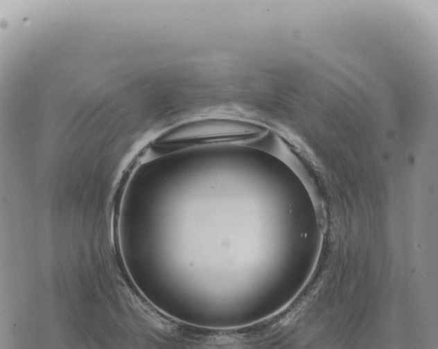 X0000073711224200608101830