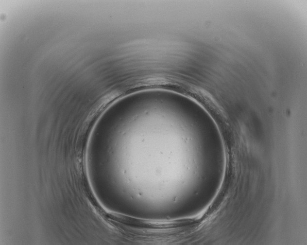 X0000073711225200608101830