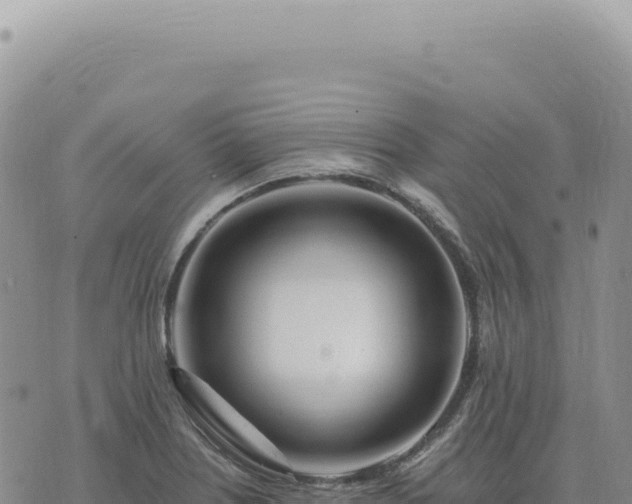 X0000073711226200608101830