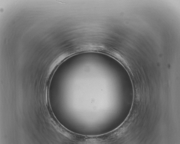 X0000073711227200608101830