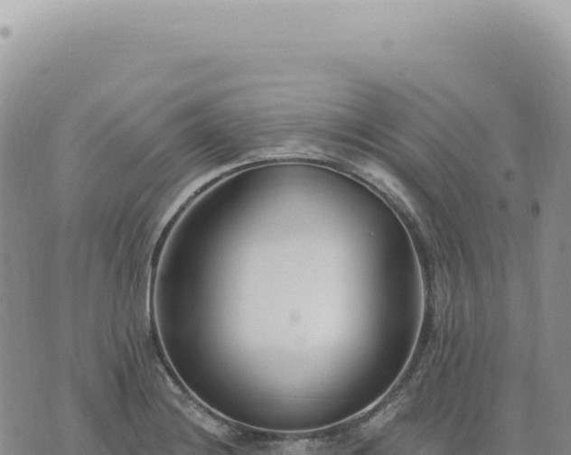 X0000073711228200608101831