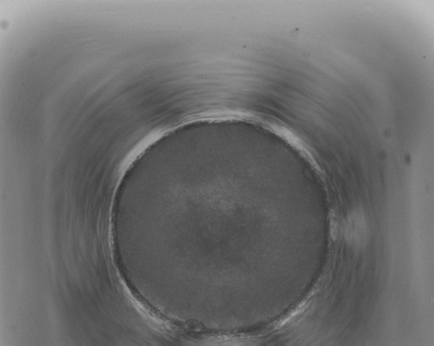 X0000073711229200608101831