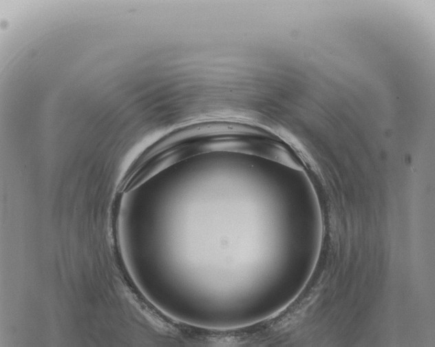 X0000073711230200608101831