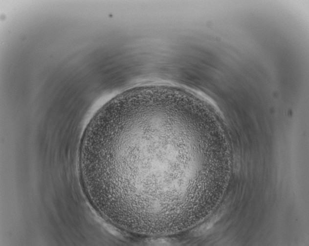 X0000073711231200608101831