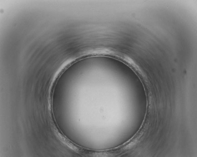 X0000073711232200608101831