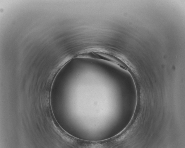 X0000073711233200608101831