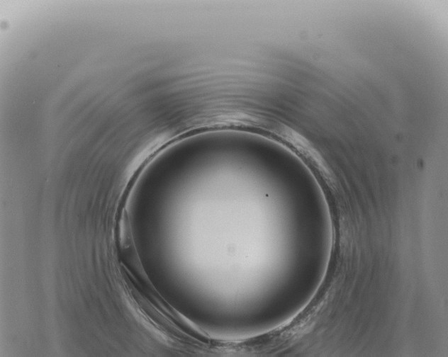 X0000073711234200608101831