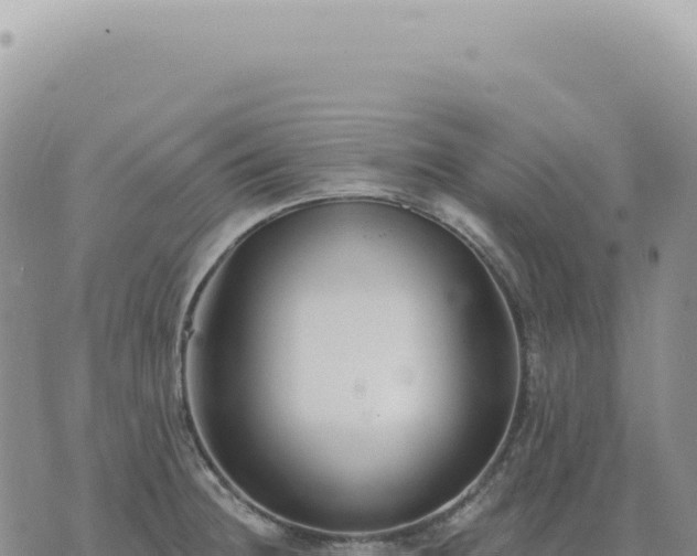 X0000073711236200608101831