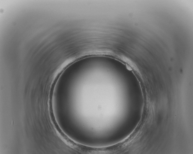 X0000073711237200608101831