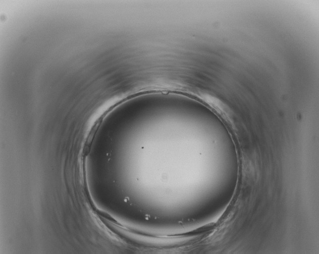 X0000073711238200608101831