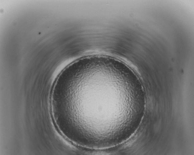 X0000073711239200608101831