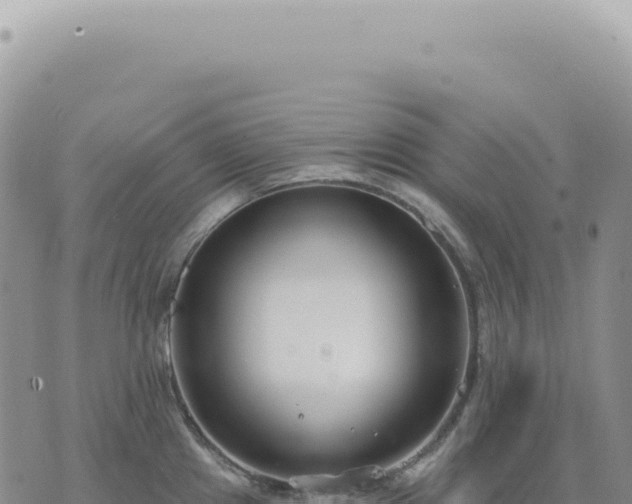 X0000073711241200608101831