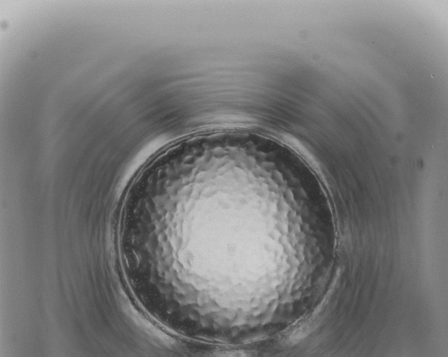 X0000073711243200608101831