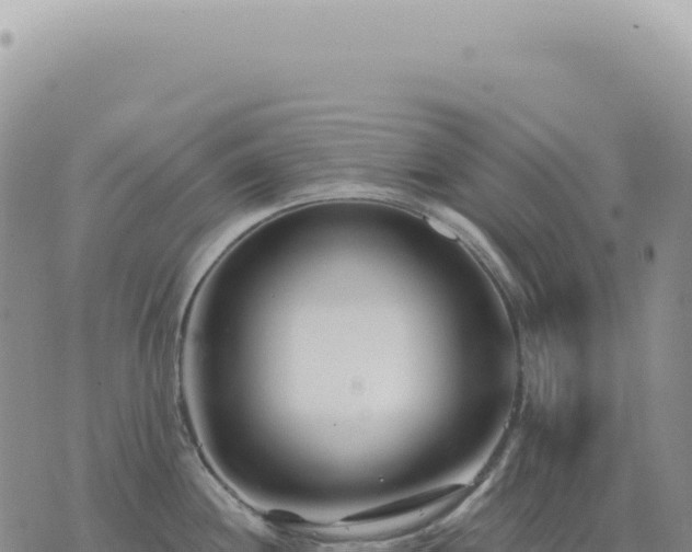 X0000073711244200608101831