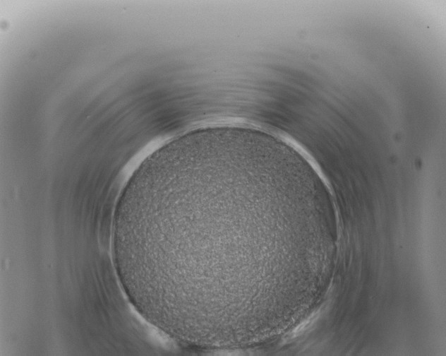 X0000073711245200608101831