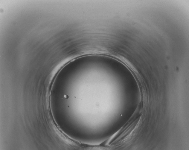 X0000073711246200608101831