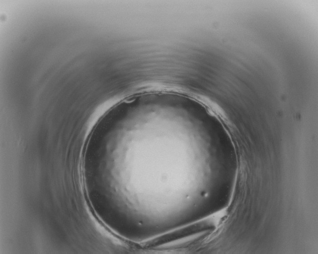 X0000073711247200608101831