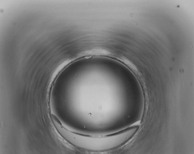 X0000073711248200608101831