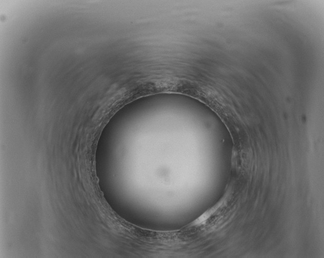 X0000073711249200608101830