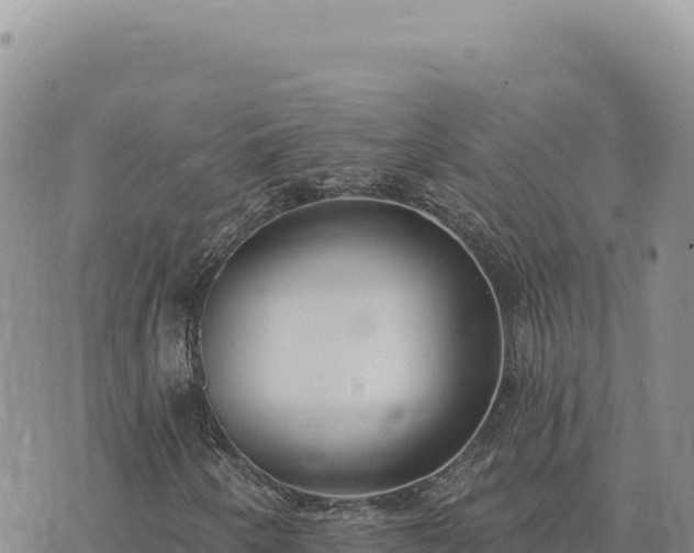 X0000073711250200608101830