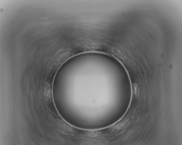 X0000073711251200608101830