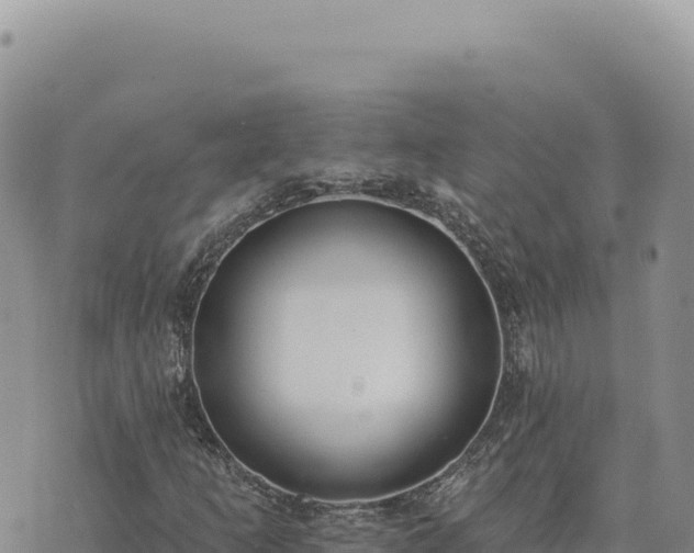 X0000073711253200608101830