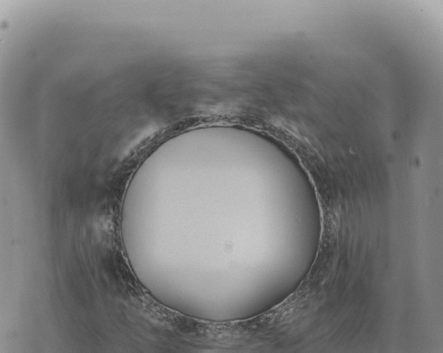 X0000073711254200608101830