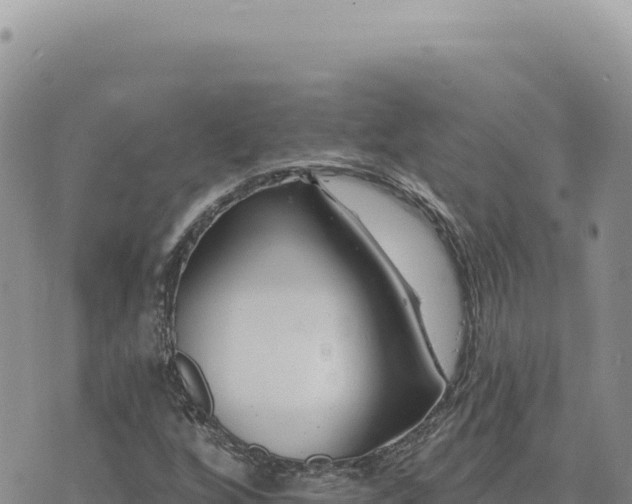 X0000073711256200608101830