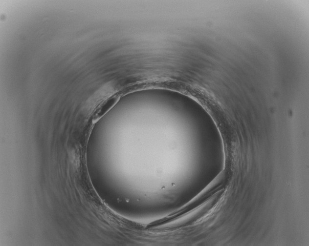 X0000073711257200608101830