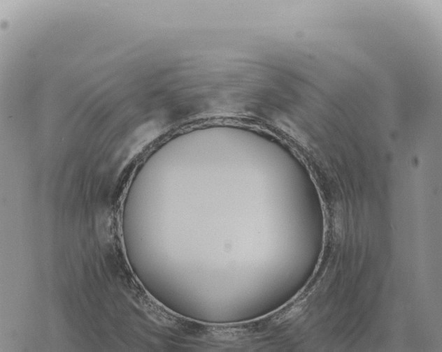 X0000073711258200608101830