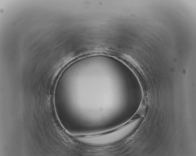 X0000073711260200608101830