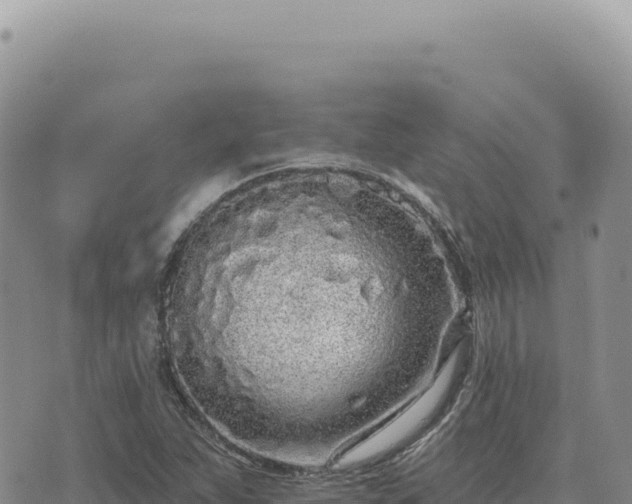 X0000073711263200608101830