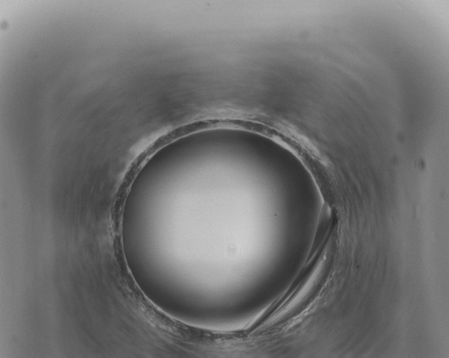 X0000073711264200608101830