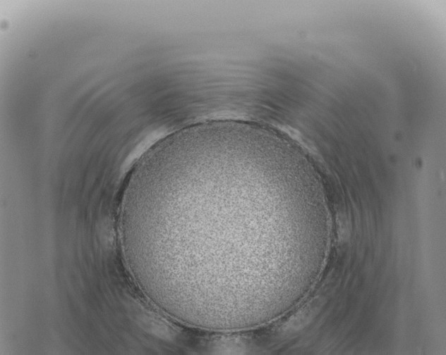 X0000073711266200608101830