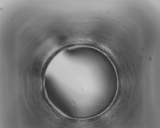 X0000073711267200608101830