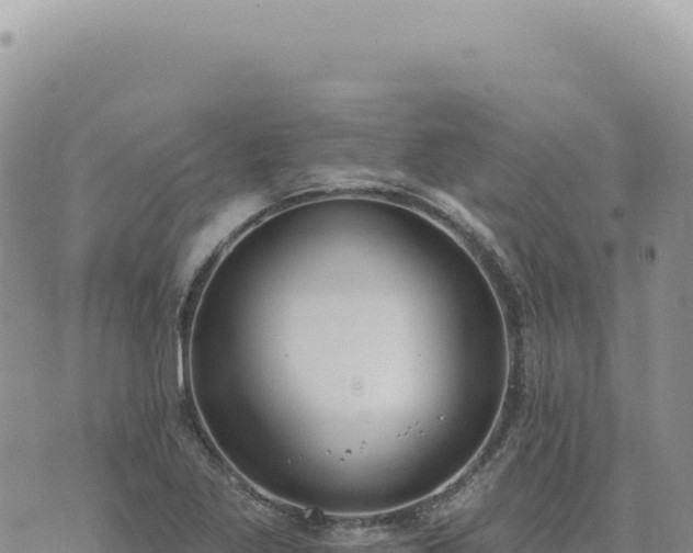 X0000073711269200608101830