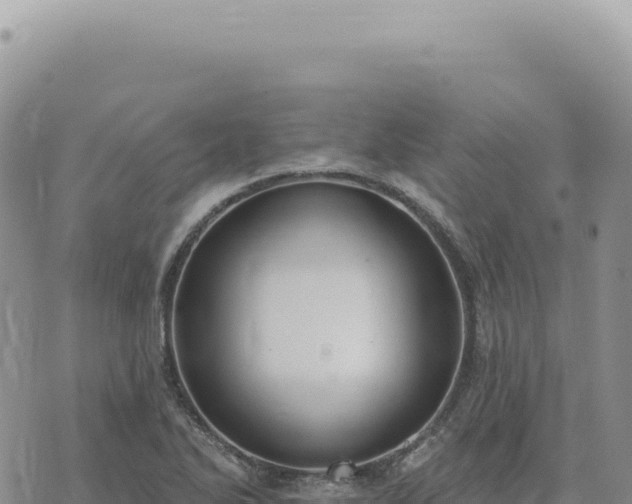 X0000073711270200608101830