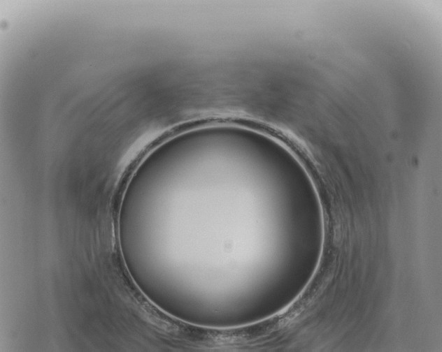 X0000073711271200608101830