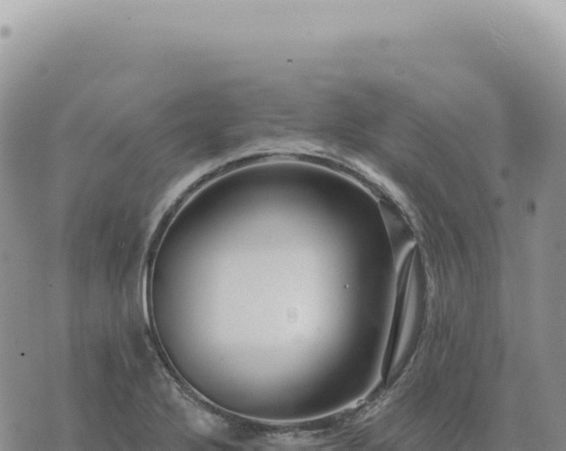 X0000073711272200608101830