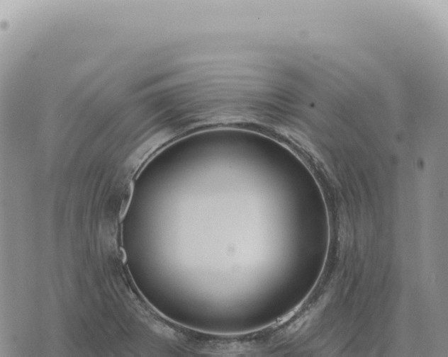 X0000073711273200608101830