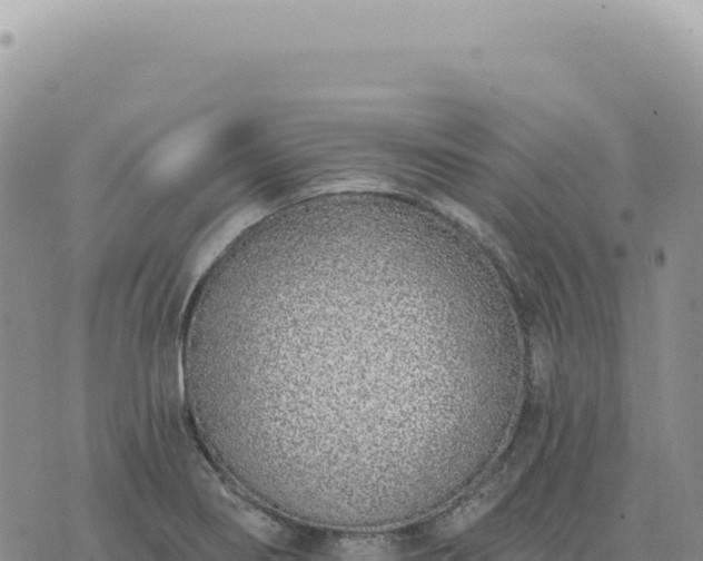 X0000073711274200608101830