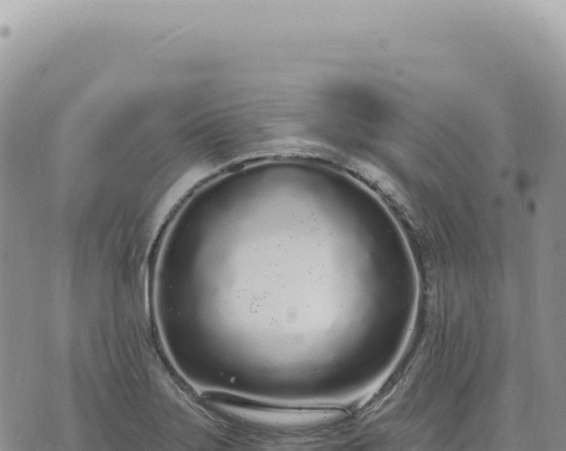 X0000073711275200608101830