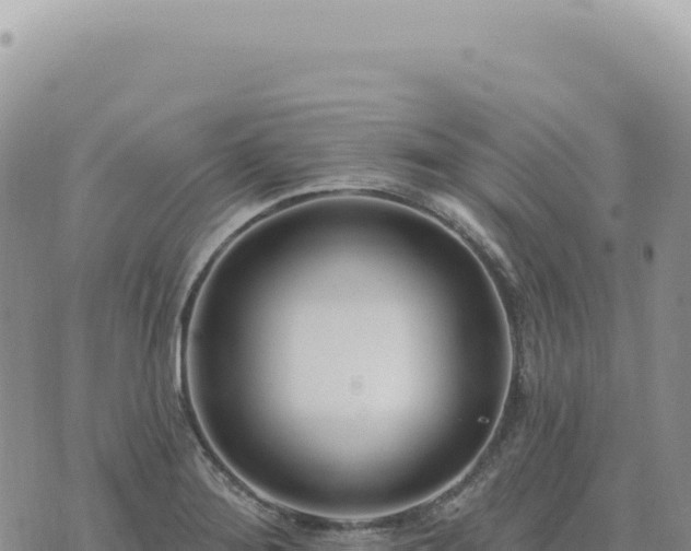 X0000073711276200608101830