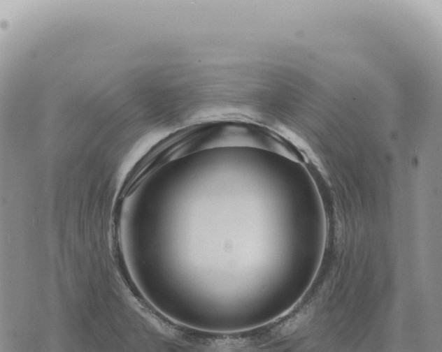 X0000073711277200608101830