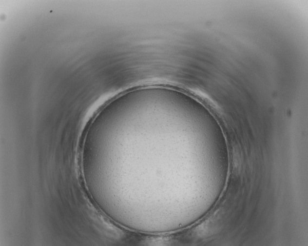 X0000073711278200608101830