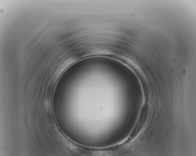 X0000073711281200608101830