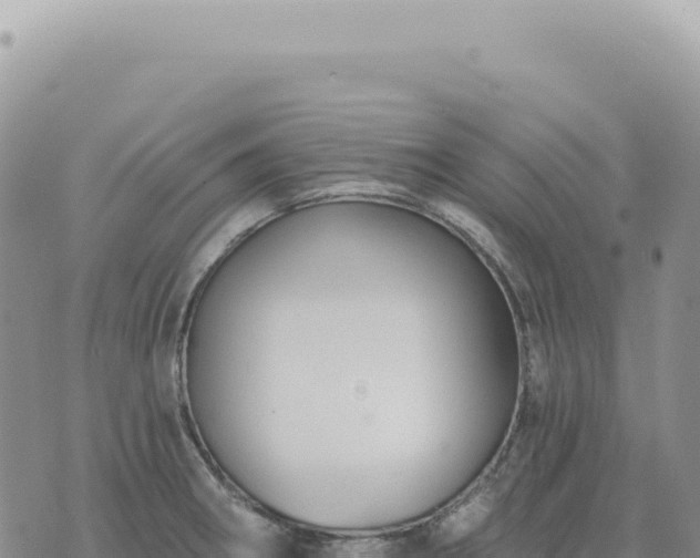 X0000073711282200608101829