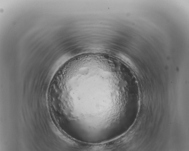 X0000073711283200608101829