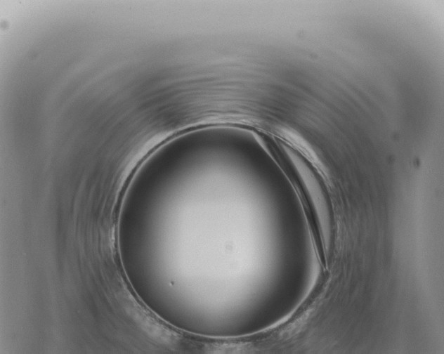 X0000073711284200608101829