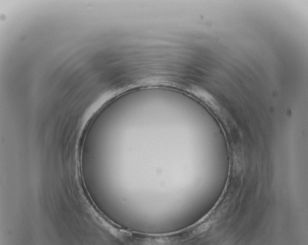 X0000073711286200608101829